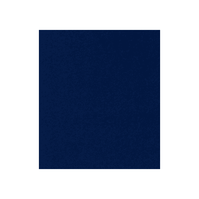 Brintons Carpets The Velvet Collection