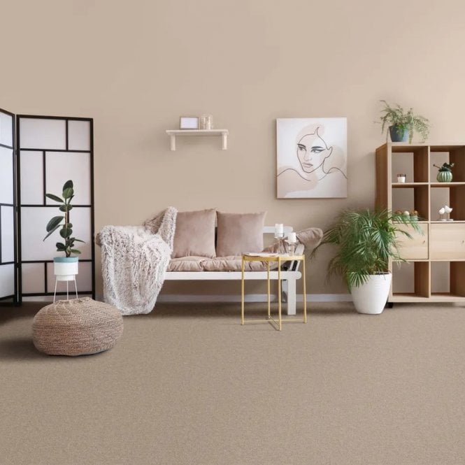 Furlong Flooring Avondale Plains