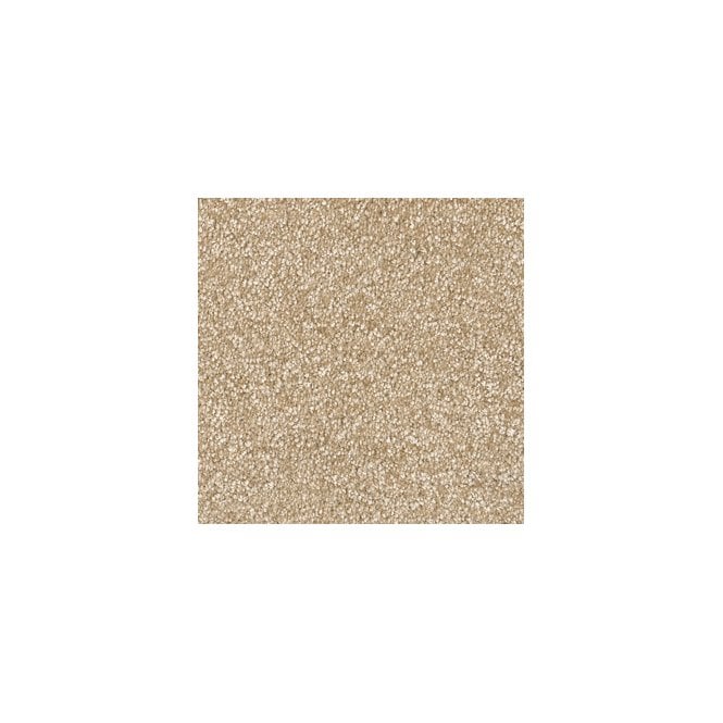 Lifestyle Floors Belle