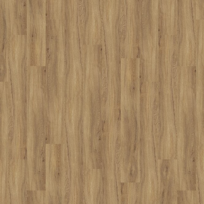 TLC Massimo Authentic Oak PLK5262