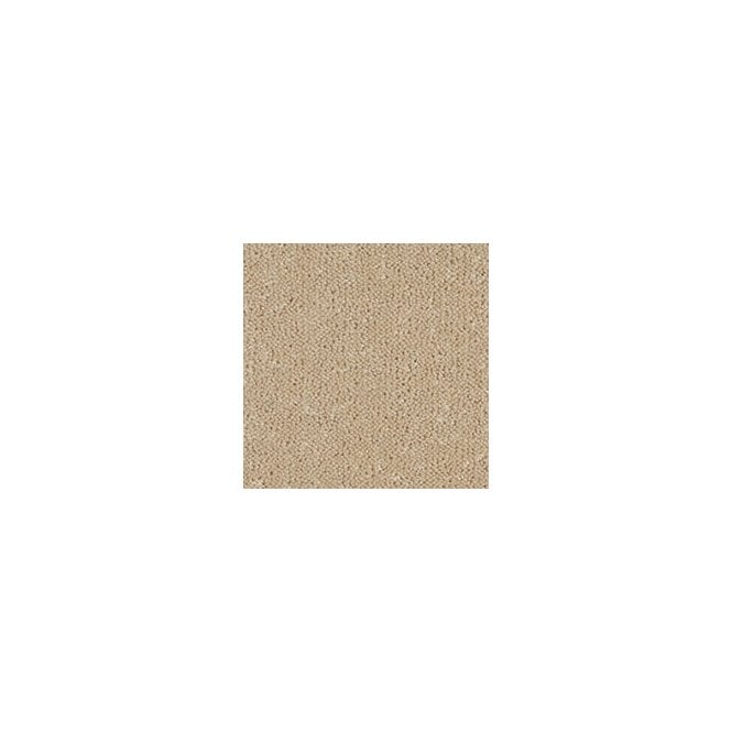 Westex Carpets Ultima Twist Penultima 4M Wide